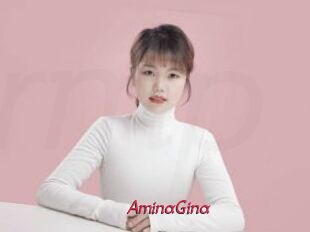 AminaGina