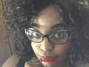 AriaNavi