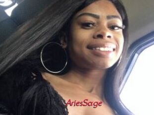 AriesSage Red Movie Post