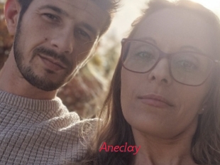 Aneclay