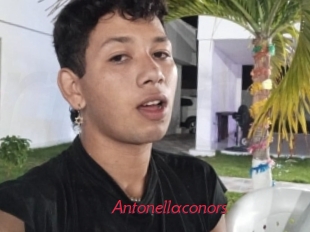 Antonellaconors