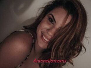 Antonellamorris