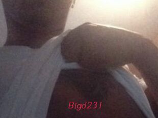 Bigd231 Red Movie Post