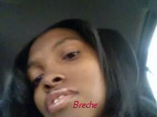 Breche