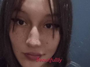 Beautifullily