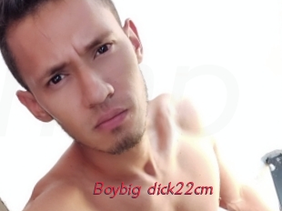 Boybig_dick22cm