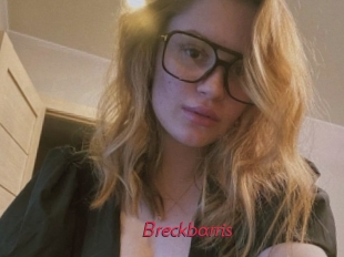 Breckbarris