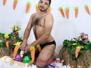 Brunosains