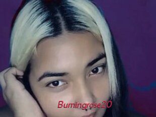 burningrose20 Red Movie Post