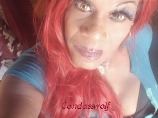 Candasswolf