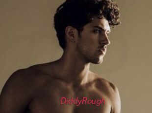 DiddyRough