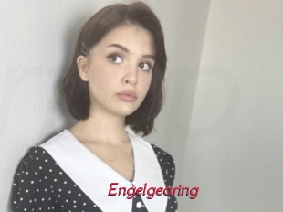 Engelgearing