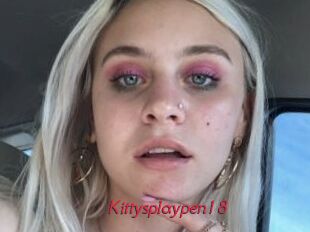 Kittysplaypen18