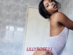 LILLYROSE23