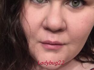 Ladybug22