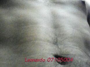 Leonardo-07105004