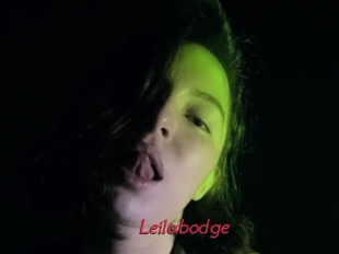 Leilabodge