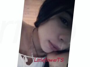 LittleflowerTS