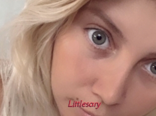 Littlesary