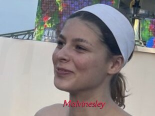 malvinesley Red Movie Post