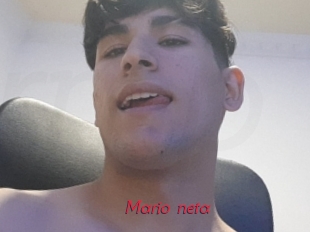 Mario_neta