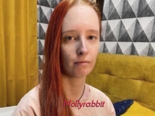 Mollyrabbit