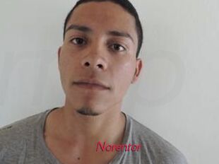 Noren_tor