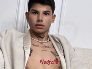 Nedfollin