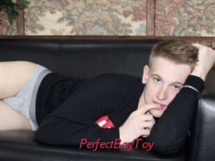 PerfectBoyToy