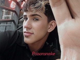 Poisonsnake