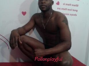 Pollonplayful