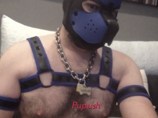 Puprush