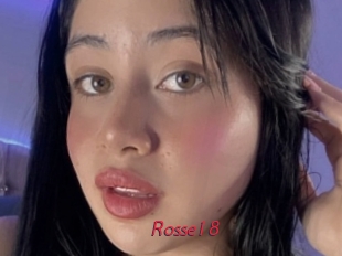 rosse18 Red Movie Post
