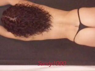 Sandy1000