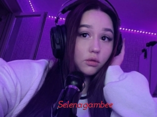 Selenagambee