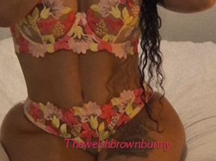 Thewelshbrownbunny