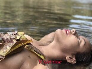 Violetrosse
