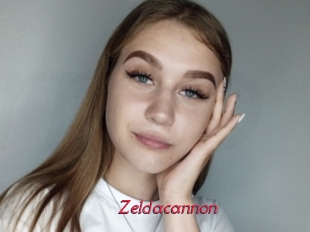 Zeldacannon